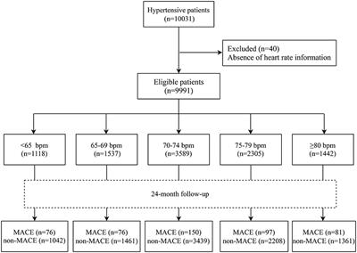 Association Between Heart Rate and Major Adverse Cardiovascular Events Among 9,991 Hypertentive Patients: A Multicenter Retrospective Follow-Up Study